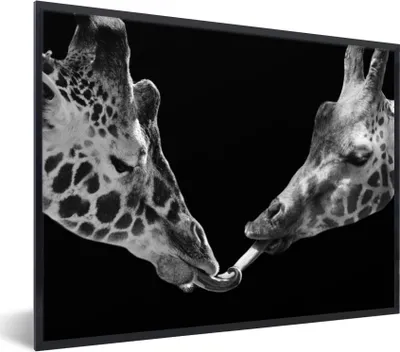 Produktbild von MuchoWow® Gerahmtes Poster Tiere - Schwarz - Giraffe - Weiß - Porträt 80x60 cm - Poster mit Schwarzem Bilderrahmen Wandposter Rahmen Foto Bilder - Schwarzem - Mit Gestell