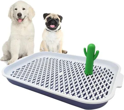Produktbild von Ibenzoa® Hundetoilette – Keramikbasis mit abnehmbarer rutschfester Matte (recycelbar, spülmaschinenfest), werkzeugfreie Montage, hygienisch