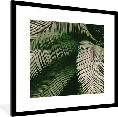 Produktbild von MuchoWow® Gerahmtes Poster Palmwedel - Sommer - Tropisch 40x40 cm - Poster mit Schwarzem Bilderrahmen Wandposter Rahmen Foto Bilder - Poster - Plakat im Rahmen