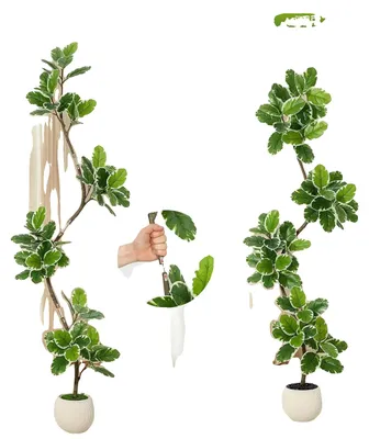 Obrázek produktu pro Umělá fíkusová rostlina, realistický design, nenáročná péče, výška 210 cm