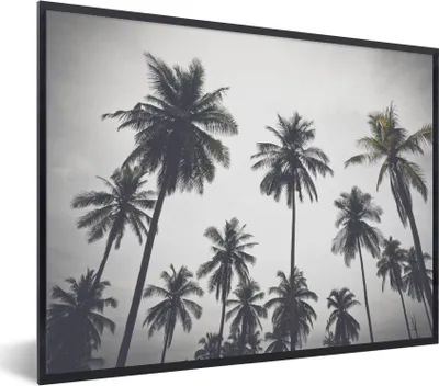 Produktbild von MuchoWow® Gerahmtes Poster Palme - Tropisch - Natur 40x30 cm - Poster mit Schwarzem Bilderrahmen Wandposter Rahmen Foto Bilder - Kunstposter - Wanddekorationen