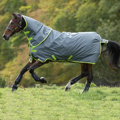 Immagine prodotto di Horseware Amigo Hero 900 Plus con disco per il collo 100g Tappeto di copertura impermeabile Grigio/Lime, misura: 5'6