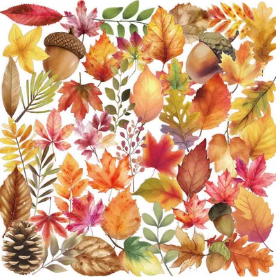 Productafbeelding van Herfststickerset, 50 stuks, waterbestendig, geschikt voor scrapbooking en decoratie
