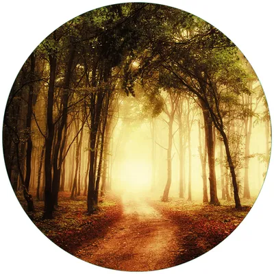 Produktbild von Wallario Premium Glasbild, freischwebende Optik, kräftige Farben, rund 50cm Durchmesser, Motiv Sonnenuntergang auf dem Waldweg