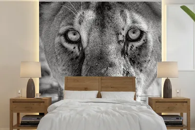 Produktbild von MuchoWow® Fototapete für Wohnzimmer oder Schlafzimmer Wandtapete Vinyl Motivtapete Tierprofil Löwin in schwarz und weiß - 240x240 cm - Schlafzimmer-Tapete
