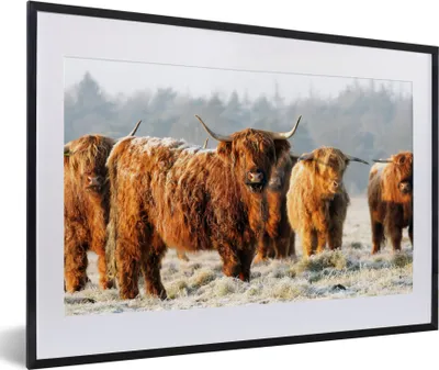 Produktbild von MuchoWow® Gerahmtes Poster Schottische Highlander - Schnee - Wald 60x40 cm - Poster mit Schwarzem Bilderrahmen Wandposter Rahmen Foto Bilder - Schlafzimmer - Plakat in Rahmen - Drucken