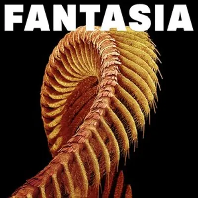 Immagine prodotto di Fantasia