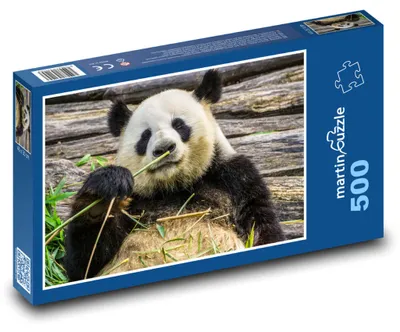 Zdjęcie produktu dla martinpuzzle - Puzzle 500 - Panda