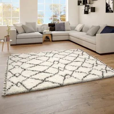 A living room with a sectional sofa and a rug.