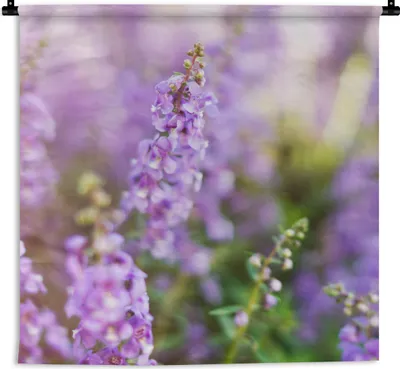 Produktbild von MuchoWow® Wandteppich Wandbehang Nahaufnahme von ganzem Lavendel in einem Feld 60x60 cm Tapisserie Dekoration Wandtuch - Dekorationen - Wand Decke