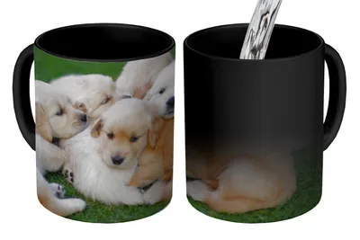 Obrázok produktu pre MuchoWow® Magický pohár Zvieratá - Šteniatka - Psy 350 ml Pohár na zmenu farby Darček Nápad na darček - Foto hrnček