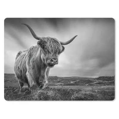 Produktbild von MuchoWow® Mauspad Mousepad Kühe - Schottische Hochlandkühe - Natur - Tiere - Schwarz und weiß 23x19 cm - Mousepads - Maus Mat - Pad - Mausunterlage - Schreibtischunterlage - Mauspad