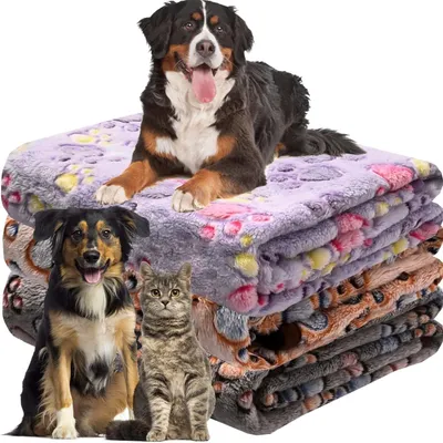 Image de Couverture pour chat - Lavable - Couverture douce pour chien - Couverture en polaire - 3 pièces - 104 x 76 cm - Convient pour chiens/chats