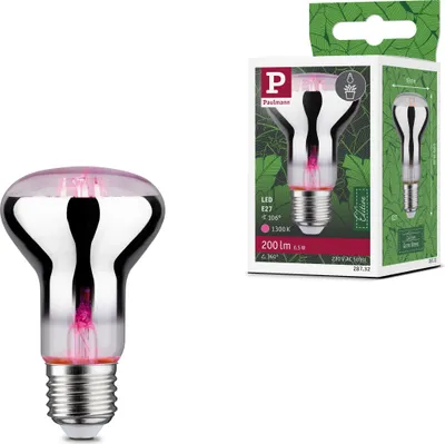 Produktbild von Paulmann Grow Green Edition Filament 230V LED Reflektor R63