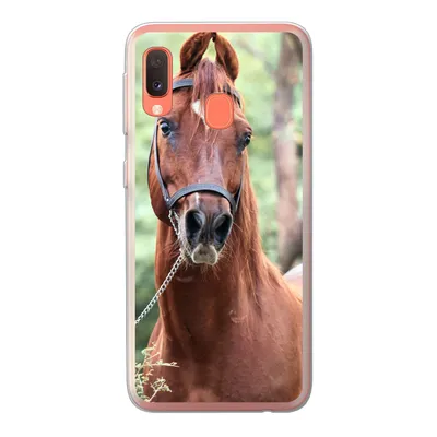 Produktbild von MuchoWow® Handyhülle Schutzhülle Hülle für Samsung Galaxy A20e Pferd - Wald - Halfter Silikon Softcase Handy Hülle - Abdeckung