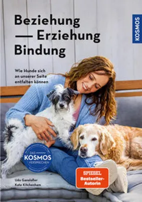 Image de Beziehung, Erziehung, Bindung