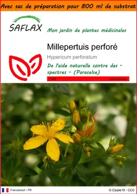 Image de SAFLAX Garden in the bag - Millepertuis perforé - 300 graines - Hypericum