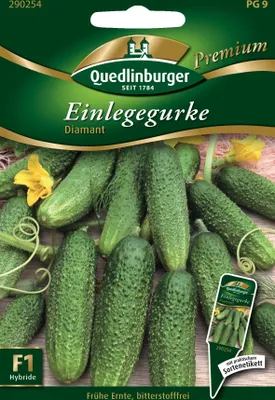 Produktbild von Quedlinburger Saatgut - Einlegegurken Diamant - Samen - 290254