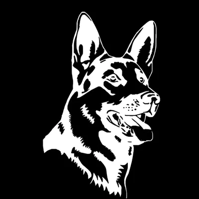 Produktbild von Aufkleber für Autos, 15 cm, weißer Deutscher Schäferhund