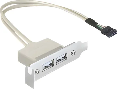 Immagine prodotto di Delock 83119 Slotblech Delock 2x USB A