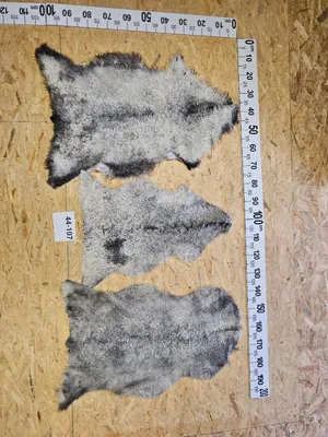 Zdjęcie produktu dla Unikalna ekologiczna skóra owcza Gotland 44-107