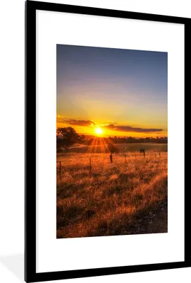 Produktbild von MuchoWow® Gerahmtes Poster Sonne - Gras - Baum - Natur 60x90 cm - Poster mit Schwarzem Bilderrahmen Wandposter Rahmen Foto Bilder - Dekoration - Wandposter Wohnzimmer - Hochwertig