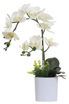 Immagine prodotto di Orchidee artificiali in vaso, ideali per l'arredamento della casa
