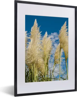 Produktbild von MuchoWow® Gerahmtes Poster Pampasgras - Pflanze - Natur 30x40 cm - Poster mit Schwarzem Bilderrahmen Wandposter Rahmen Foto Bilder - Wandposter Schlafzimmer