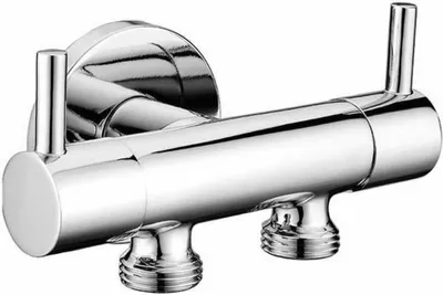 A chrome-plated dual valve for connecting a toilet and hand shower.