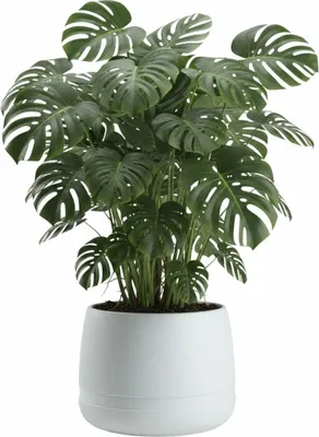 Immagine prodotto di HowHomely | Vaso per piante - Fioriera - bianco - L48xH38 cm - Vaso per piante - Coprivaso - Pratico