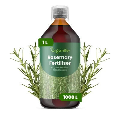 Obrázek produktu pro Rozmarín Tekuté Hnojivo 1 L – 2-1-8 NPK – Pro Rozmarín – Podporuje Silný Růst & Aromatické Listy – Organifer