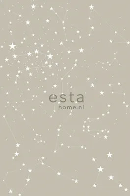Imagen del producto de ESTAhome fotomural noche estrellada gris pardo 200 x 279 cm