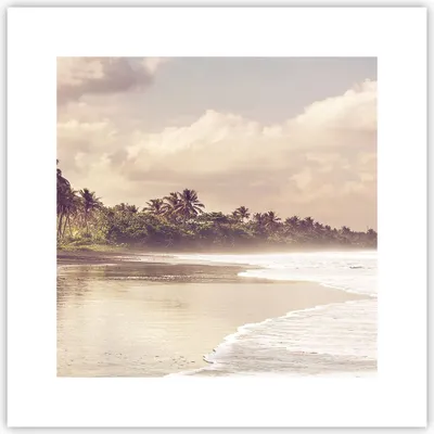Produktbild von Poster - Poster ohne Rahmen - Palmen Strand Wasser - 30x30 cm - Wand Bild - Wanddeko - Wandbilder - Kunstposter - Wandposter - Bilder - Kunstdruck - Wanddekoration - Wandbild - P2XAC30x30-4917