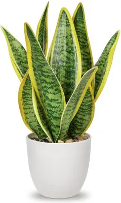 Obrázek produktu pro Umělá sansevierie v keramickém květináči, malá umělá rostlina, 33 cm.