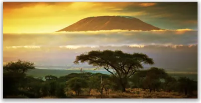 Produktbild von Tulup Leinwand-Bilder 120x60 Wandbild Canvas Kunstdruck Baum Gebirge Natur