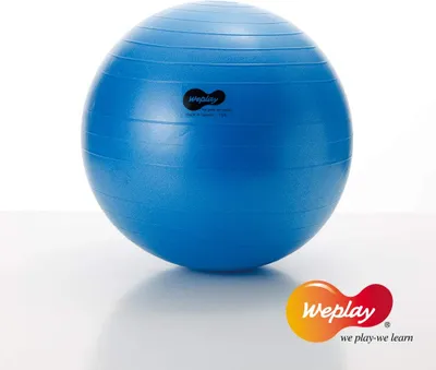 Produktbild von Weplay KB1309 Anti Burst Fitness Yoga Gymnastik Ball 65cm, blau