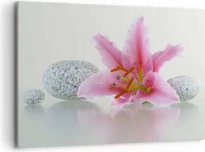 Produktbild von Bild auf Leinwand - Leinwandbild - Lilienblüte grün Pflanze - 120x80cm - Wand Bild - Wanddeko - Leinwanddruck - Bilder - Kunstdruck - Wanddekoration - Leinwand bilder - Wandkunst - AA120x80-0485