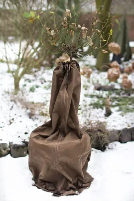 Produktbild von Topfhülle mit Reißverschluss, Winterschutz für Topfpflanzen, Größe L