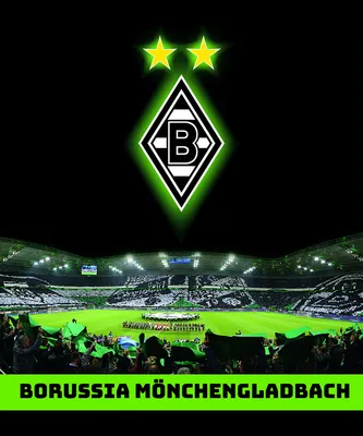 Zdjęcie produktu dla Dywan Borussia Mönchengladbach Borussia-Park 100x120 cm
