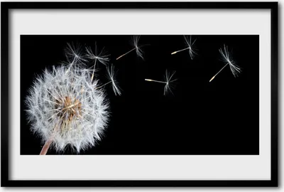 Produktbild von Bild 60x40 MDF-Rahmen Wandkunst Löwenzahn Blumen Natur