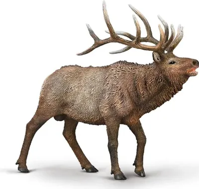 Immagine prodotto di Collecta Moose XL - animale selvatico giocattolo in plastica dipinta a mano