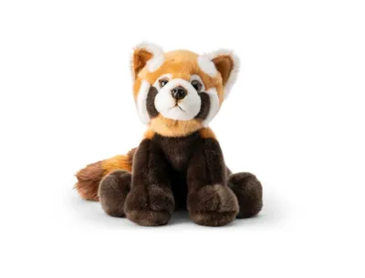 Zdjęcie produktu dla Czerwona Panda