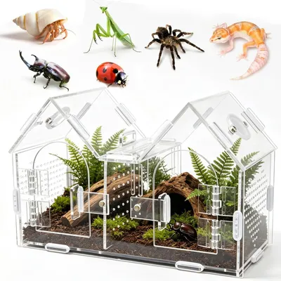 Immagine prodotto di Terrario in acrilico per ragni saltatori - Porta magnetica