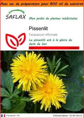 Image de SAFLAX Garden in the bag - Pissenlit - 200 graines - Taraxacum