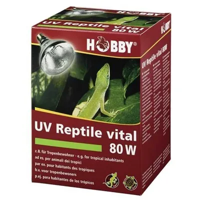 Produktbild von HOBBY Terraristik UV Reptile vital, 80 W, 1 Stück(e), 3715 K, 563,4 lm
