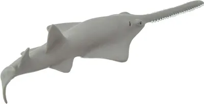 Produktbild von Safari - 211902 - Sägefisch, Kunststoff, 26cm, BPA frei
