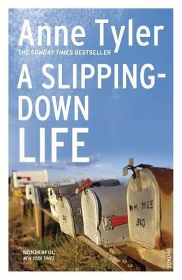 Immagine prodotto di A Slipping Down Life