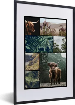 Produktbild von MuchoWow® MuchoWow® Gerahmtes Poster Schottische Hochlandrind - Collage - Pflanzen - Natur 40x60 cm - Poster mit zchwarzem Bilderrahmen - Poster in Rahmen