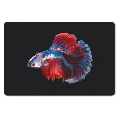 Produktbild von MuchoWow® Schreibtischunterlage Fisch - Schwanz - Schwarz 60x40 cm - XXL Mauspad - Großes Mauspad
