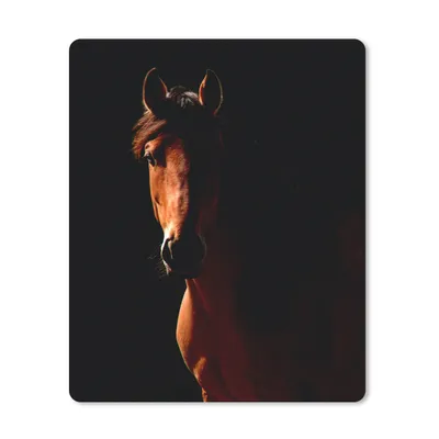 Produktbild von MuchoWow® Mauspad Mousepad Pferd - Licht - Porträt 30x40 cm - Mousepads - Maus Mat - Pad - Mausunterlage - Mausmatten